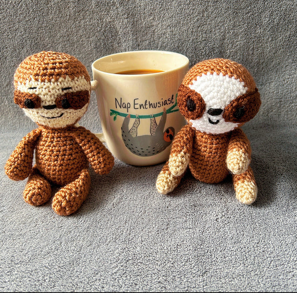 All About the Sloths!