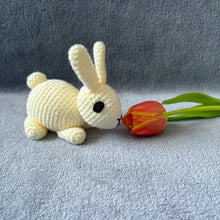 Roxie the Rabbit | CE Tested Crochet Soft Toy