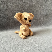 Charlotte the Chihuahua Soft Toy