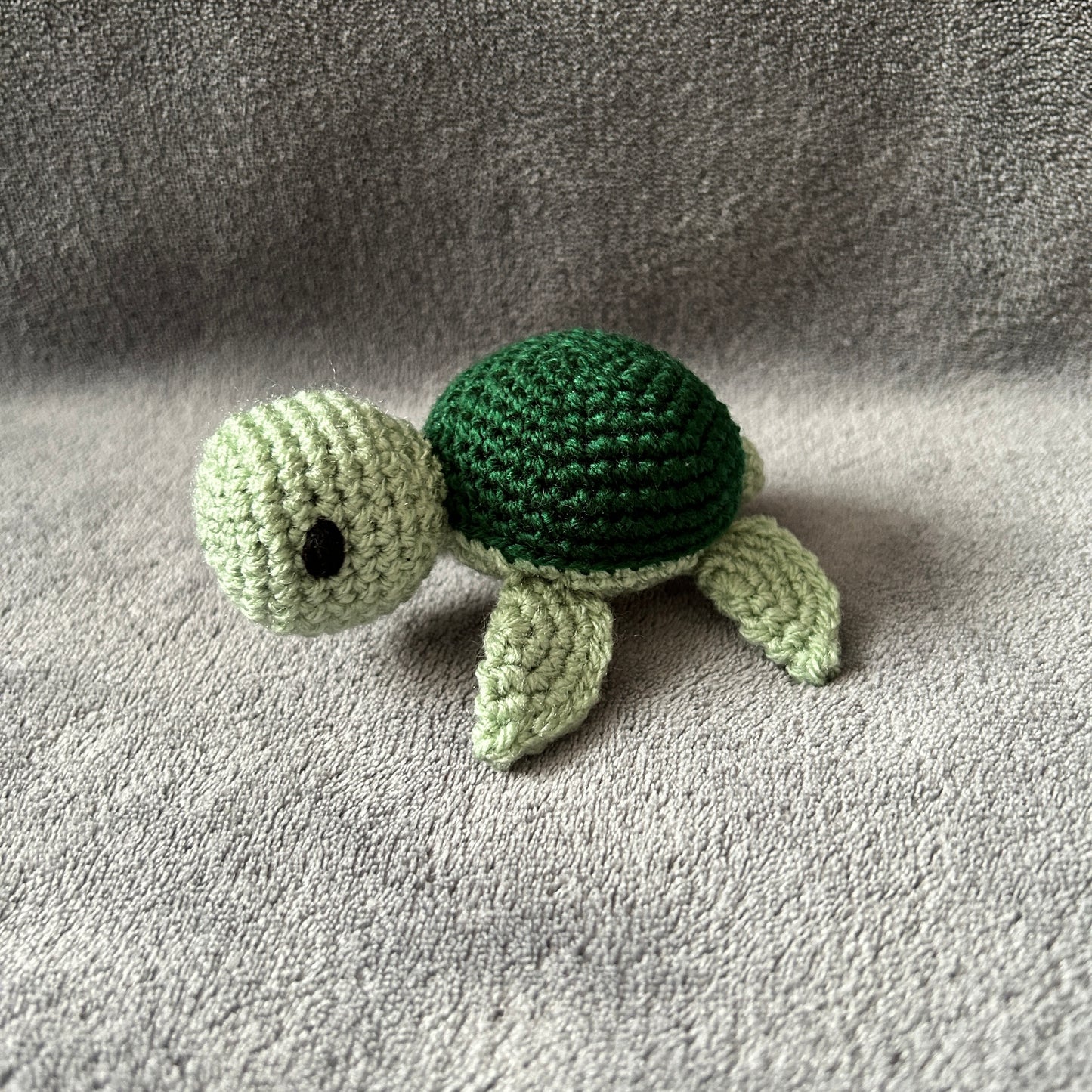 Taylor the Terrapin Toy