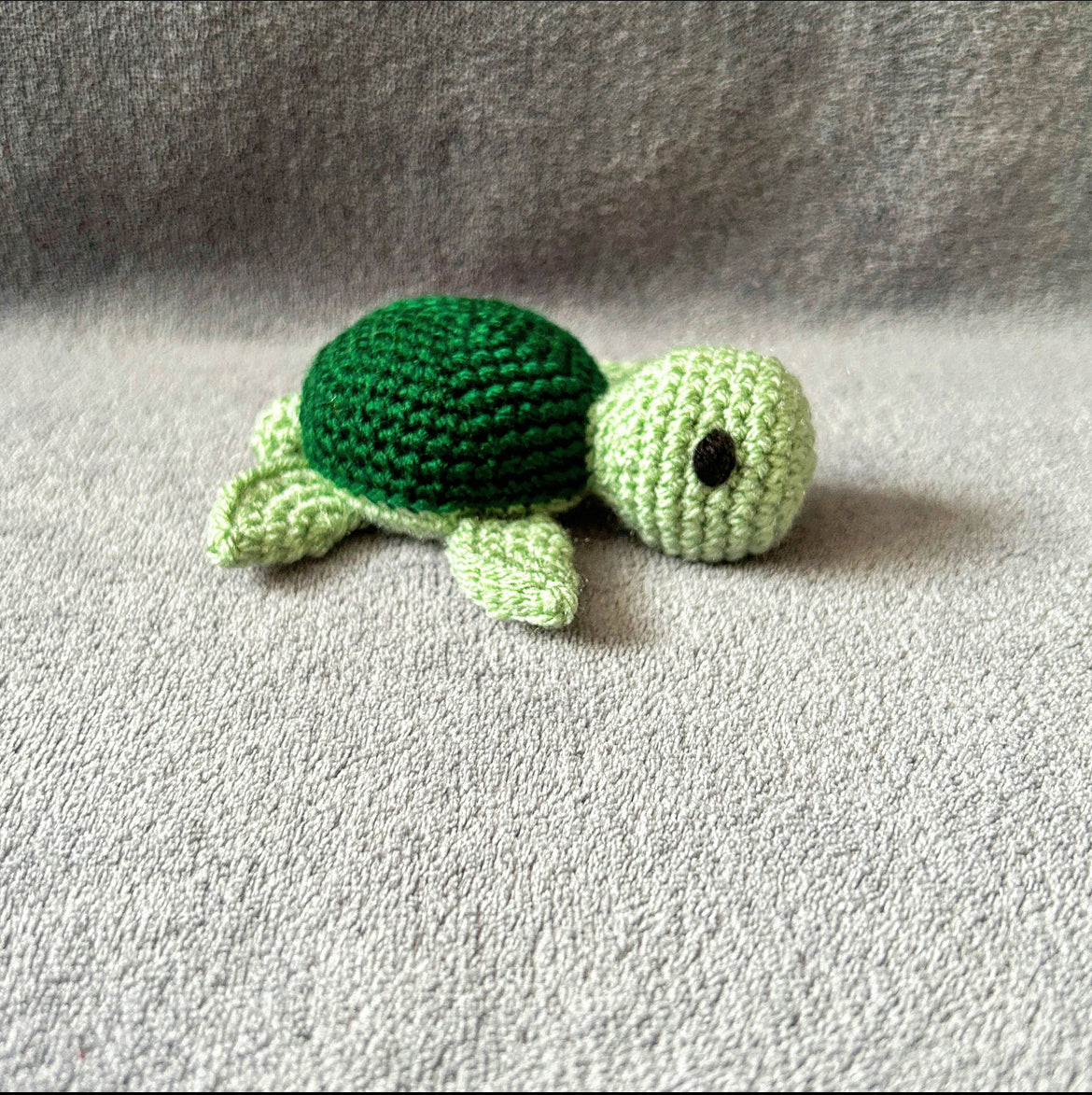 Taylor the Terrapin Toy