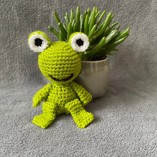 Finn the Frog Soft Toy